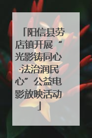 阳信县劳店镇开展“光影铸同心·法治润民心”公益电影放映活动