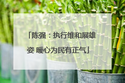 陈强：执行维和展雄姿 暖心为民有正气