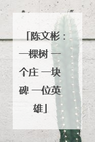 陈文彬：一棵树 一个庄 一块碑 一位英雄
