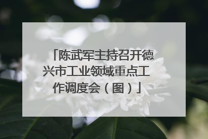 陈武军主持召开德兴市工业领域重点工作调度会（图）