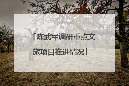 陈武军调研重点文旅项目推进情况