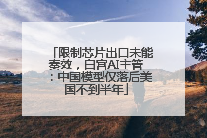 限制芯片出口未能奏效，白宫AI主管：中国模型仅落后美国不到半年