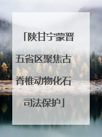 陕甘宁蒙晋五省区聚焦古脊椎动物化石司法保护