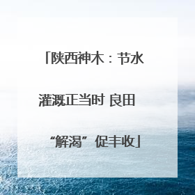 陕西神木：节水灌溉正当时 良田“解渴”促丰收