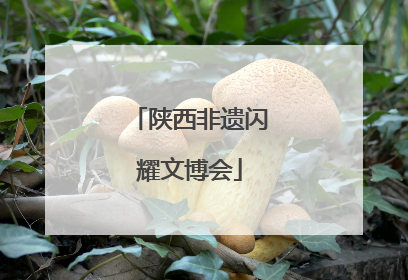陕西非遗闪耀文博会