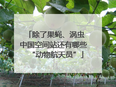 除了果蝇、涡虫 中国空间站还有哪些“动物航天员”
