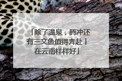 除了温泉，腾冲还有三文鱼值得奔赴丨在云南样样好
