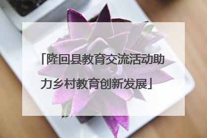 隆回县教育交流活动助力乡村教育创新发展