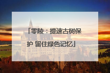 零陵：提速古树保护 留住绿色记忆