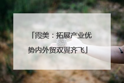 霞美：拓展产业优势内外贸双翼齐飞