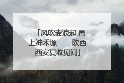 风吹麦浪起 再上神禾塬——陕西西安夏收见闻