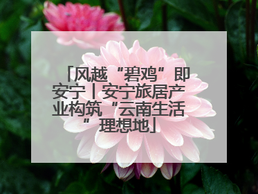 风越“碧鸡”即安宁丨安宁旅居产业构筑“云南生活”理想地