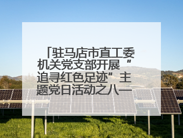 驻马店市直工委机关党支部开展“追寻红色足迹”主题党日活动之八——鏖战独树镇