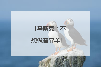 马斯克：不想做替罪羊