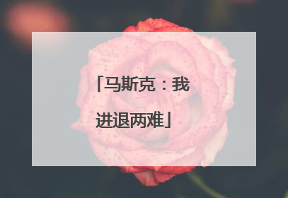 马斯克：我进退两难