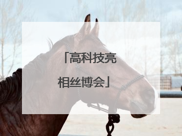 高科技亮相丝博会