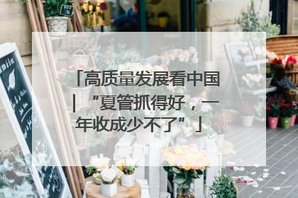 高质量发展看中国｜“夏管抓得好，一年收成少不了”