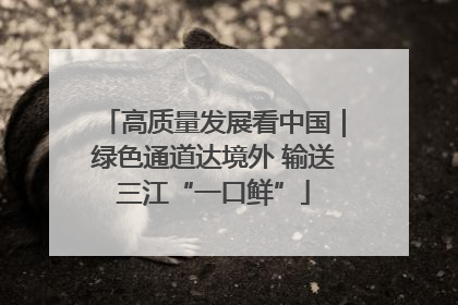 高质量发展看中国｜绿色通道达境外 输送三江“一口鲜”