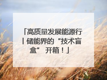 高质量发展能源行丨储能界的“技术盲盒” 开箱！