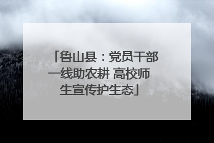 鲁山县：党员干部一线助农耕 高校师生宣传护生态