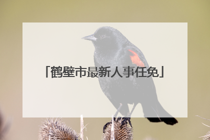 鹤壁市最新人事任免