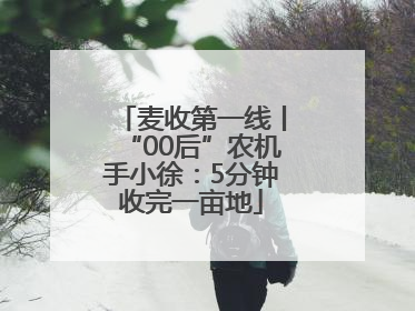 麦收第一线丨“00后”农机手小徐：5分钟收完一亩地
