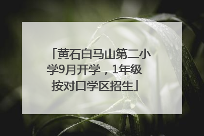 黄石白马山第二小学9月开学，1年级按对口学区招生