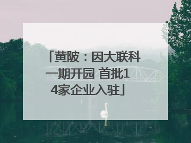 黄陂：因大联科一期开园 首批14家企业入驻