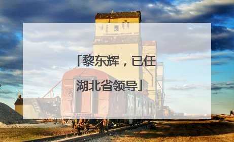 黎东辉，已任湖北省领导