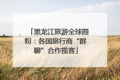黑龙江旅游全球圈粉：各国旅行商“群聊”合作揽客