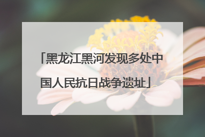 黑龙江黑河发现多处中国人民抗日战争遗址