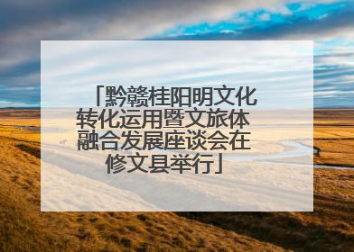 黔赣桂阳明文化转化运用暨文旅体融合发展座谈会在修文县举行