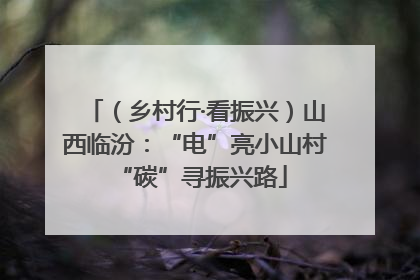 （乡村行·看振兴）山西临汾：“电”亮小山村 “碳”寻振兴路