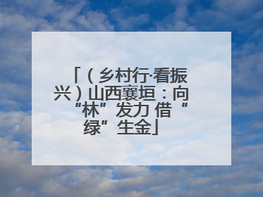 （乡村行·看振兴）山西襄垣：向“林”发力 借“绿”生金