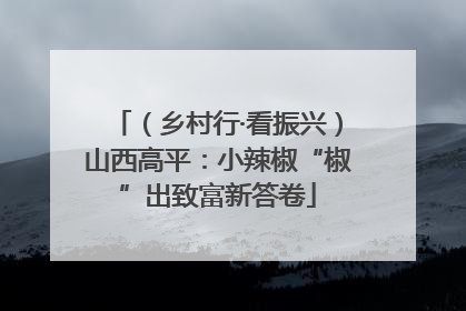 （乡村行·看振兴）山西高平：小辣椒“椒”出致富新答卷