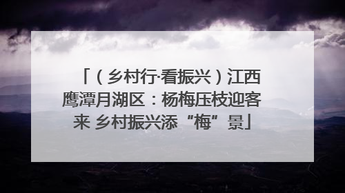 （乡村行·看振兴）江西鹰潭月湖区：杨梅压枝迎客来 乡村振兴添“梅”景
