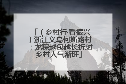 （乡村行·看振兴）浙江义乌何斯路村：龙粽越包越长折射乡村人气渐旺
