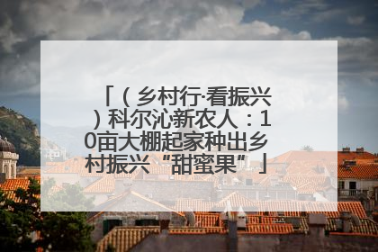 （乡村行·看振兴）科尔沁新农人：10亩大棚起家种出乡村振兴“甜蜜果”
