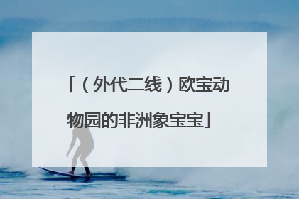 （外代二线）欧宝动物园的非洲象宝宝