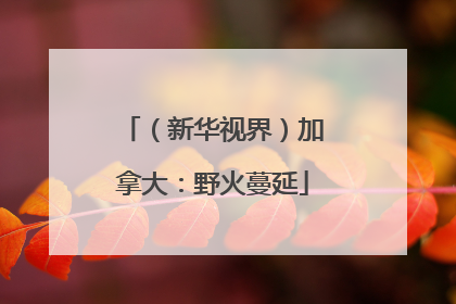 （新华视界）加拿大：野火蔓延