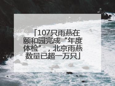 107只雨燕在颐和园完成“年度体检”，北京雨燕数量已超一万只