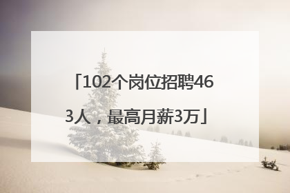 102个岗位招聘463人，最高月薪3万