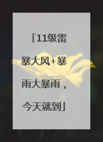 11级雷暴大风+暴雨大暴雨，今天就到
