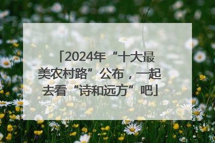 2024年“十大最美农村路”公布，一起去看“诗和远方”吧