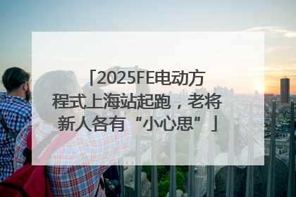 2025FE电动方程式上海站起跑，老将新人各有“小心思”