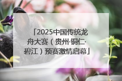 2025中国传统龙舟大赛（贵州·铜仁·碧江）预赛激情启幕