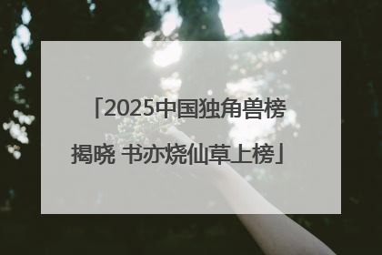 2025中国独角兽榜揭晓 书亦烧仙草上榜