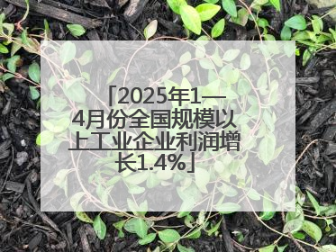 2025年1—4月份全国规模以上工业企业利润增长1.4%