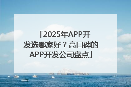2025年APP开发选哪家好？高口碑的APP开发公司盘点