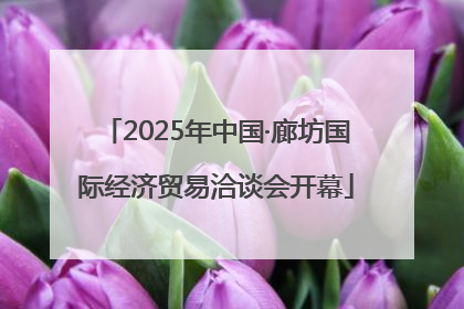 2025年中国·廊坊国际经济贸易洽谈会开幕
